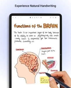 Noteshelf v8.4.5 MOD APK [Full Paid for free] for Android Download 2024